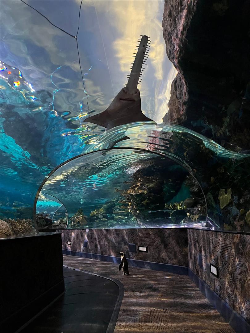 Ripley's Aquarium of the Smokies