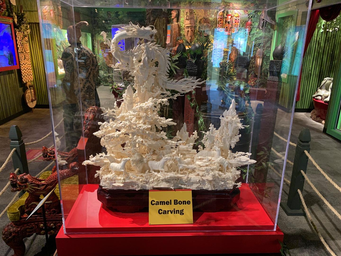 Ripley's Believe It or Not! (Gatlinburg)