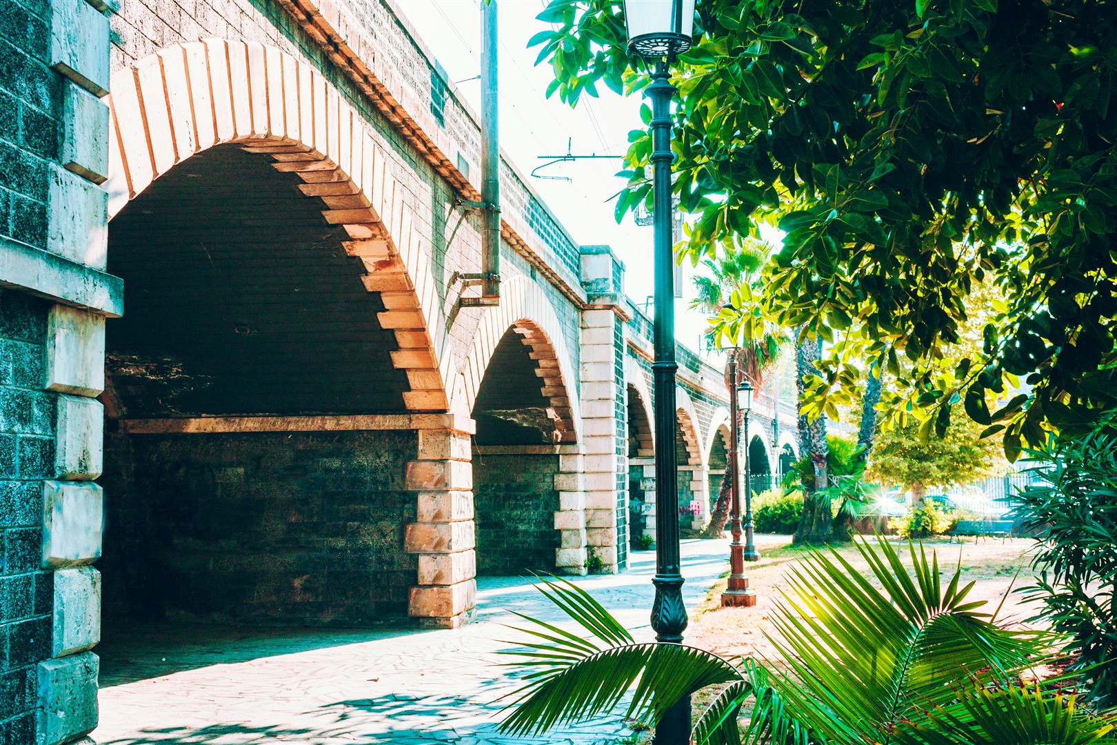 Shutter Stock