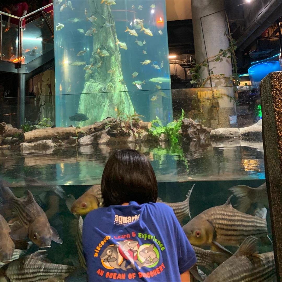 Aquaria KLCC