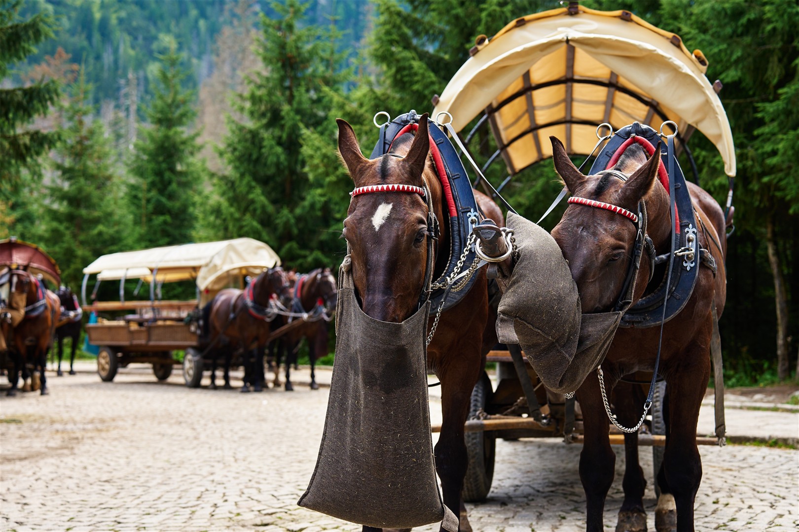 Zakopane