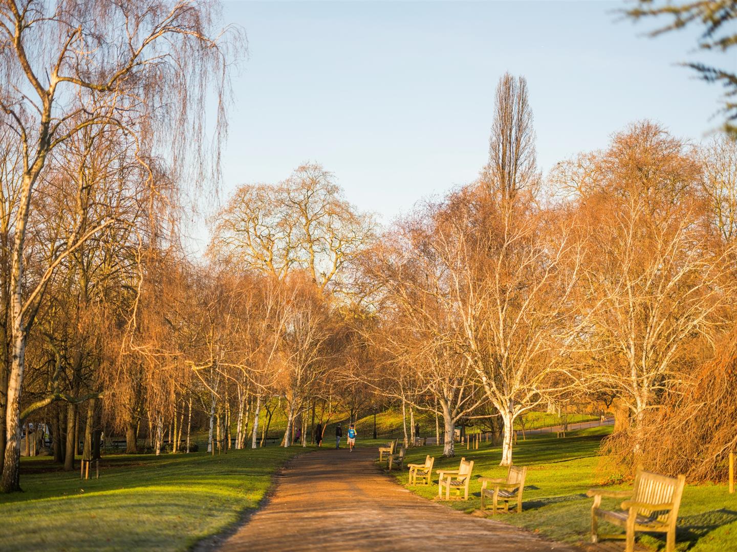 Hyde Park