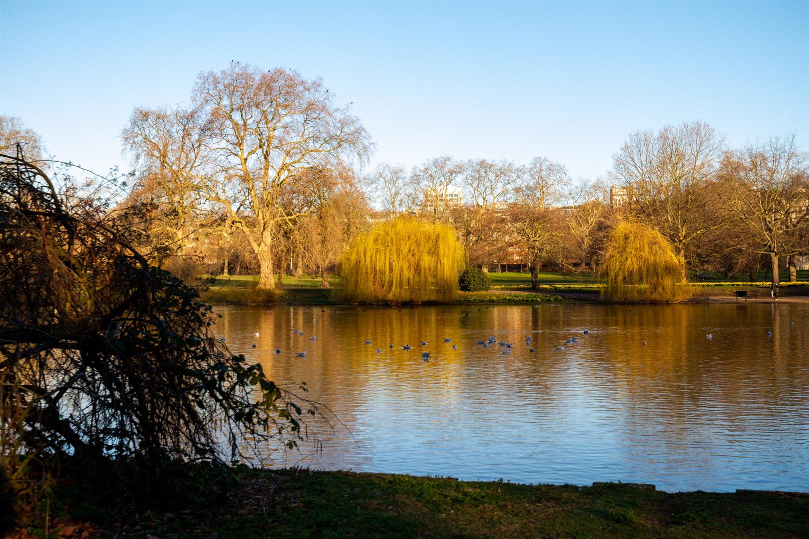 St James's Park