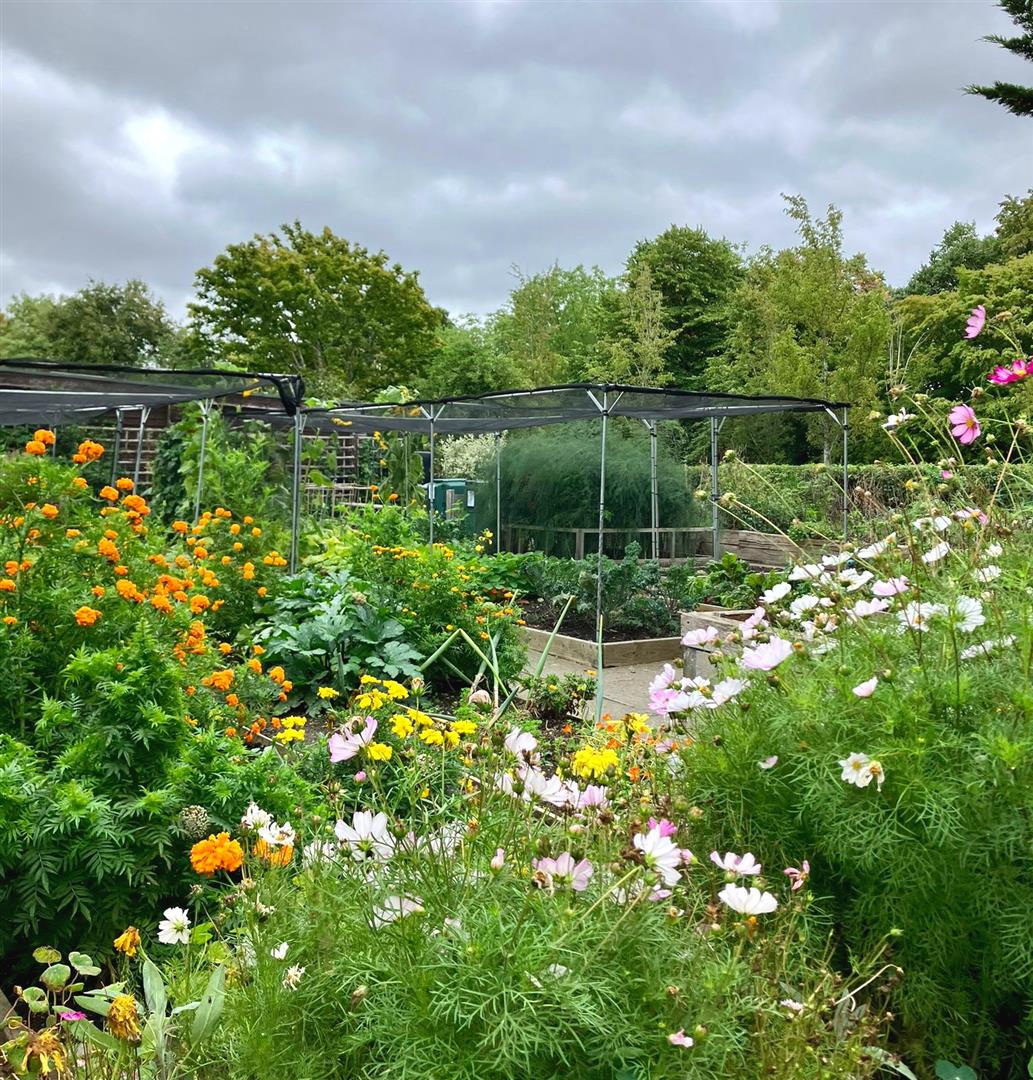 The Regent's Park