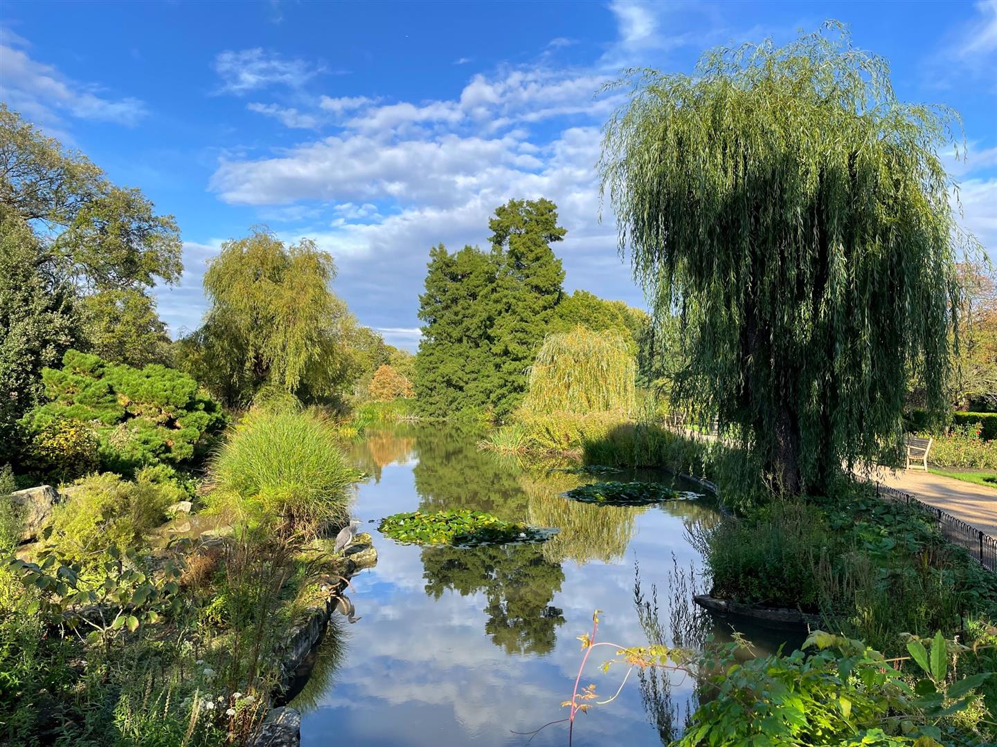 The Regent's Park