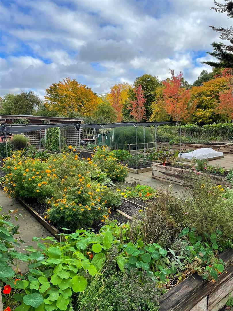 The Regent's Park