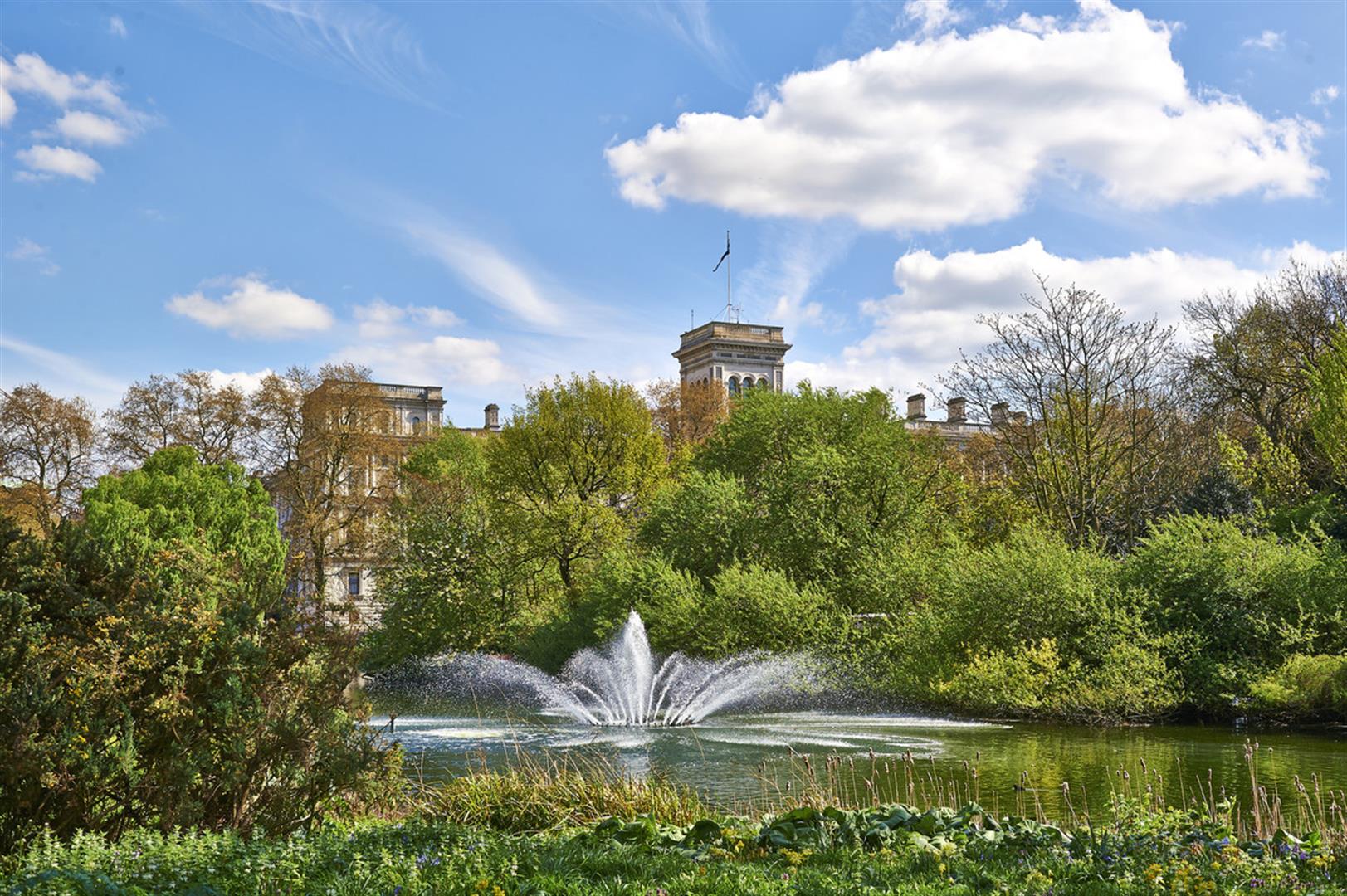 The Green Park