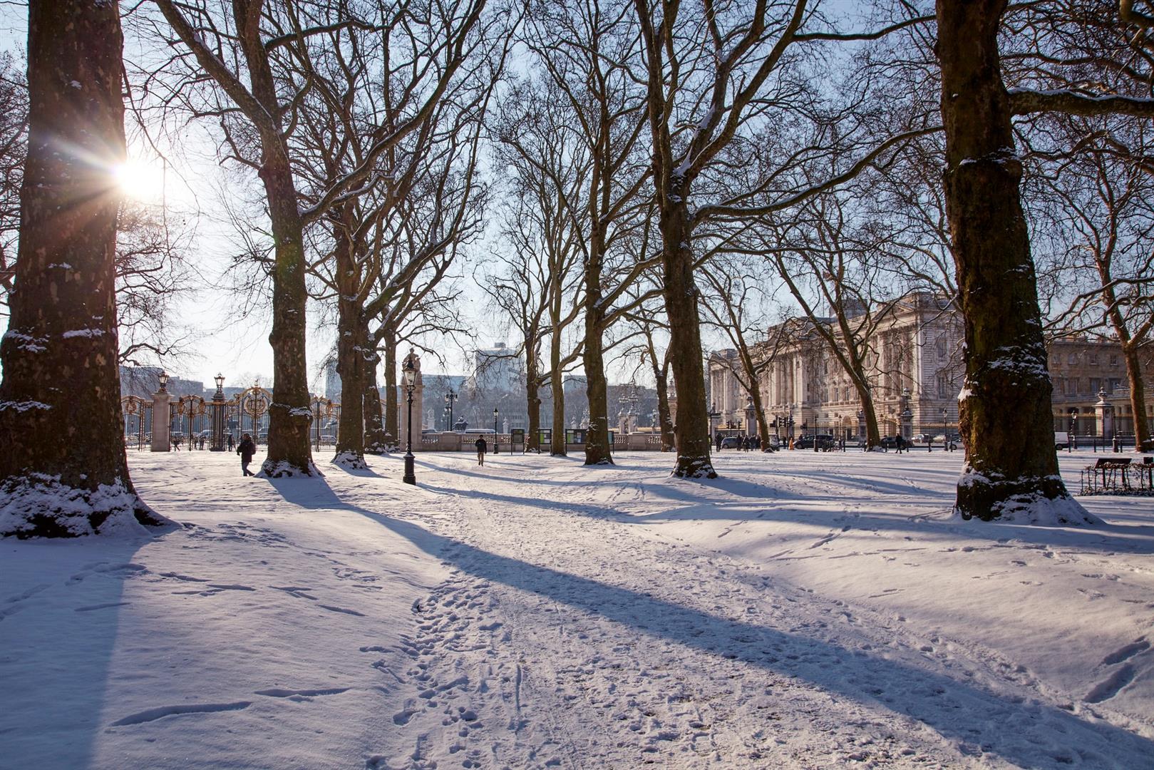 The Green Park