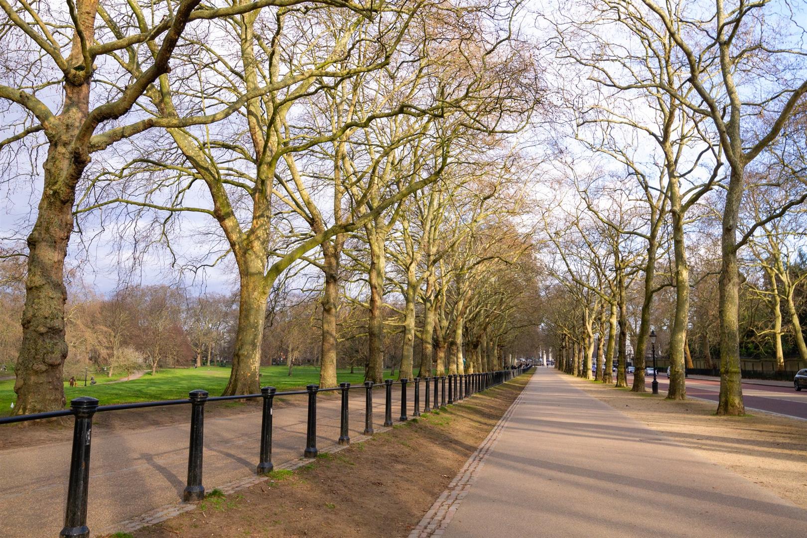 The Green Park