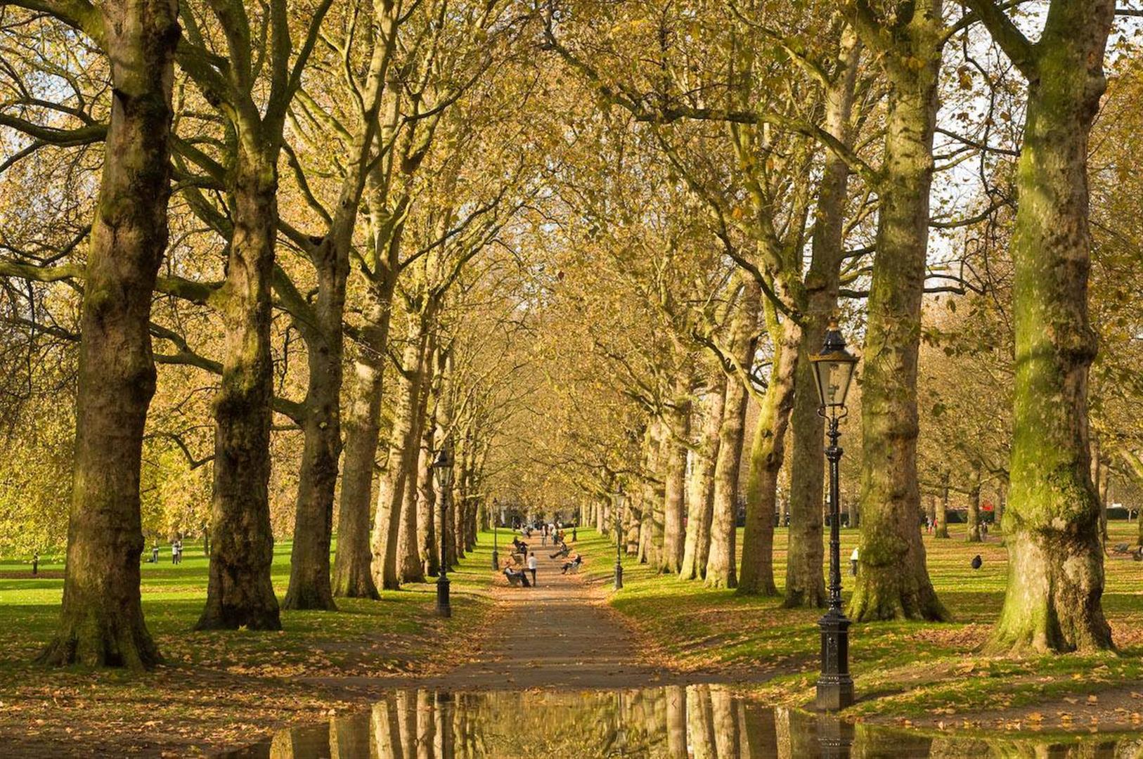 The Green Park