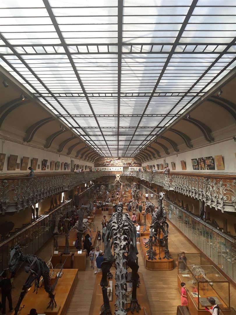 Jardin des Plantes