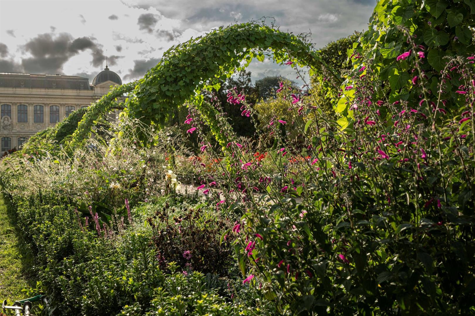 Jardin des Plantes