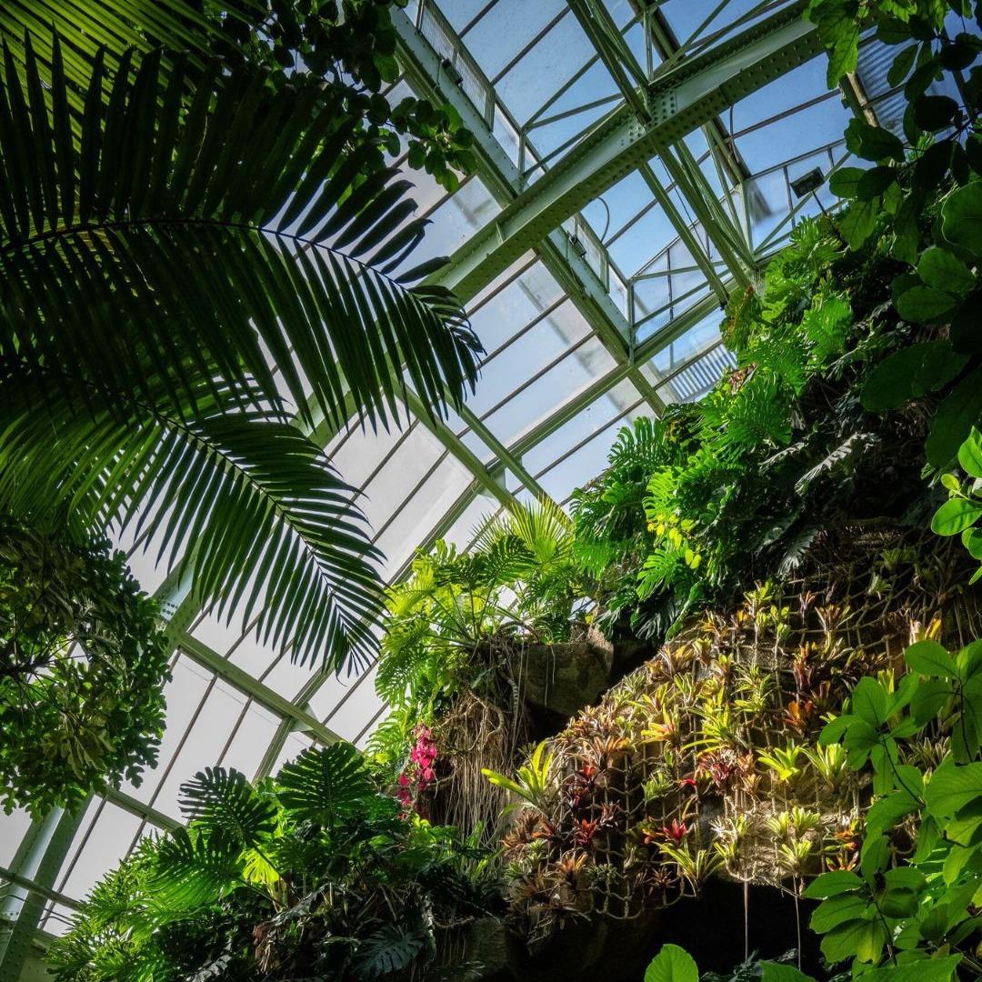 Jardin des Plantes
