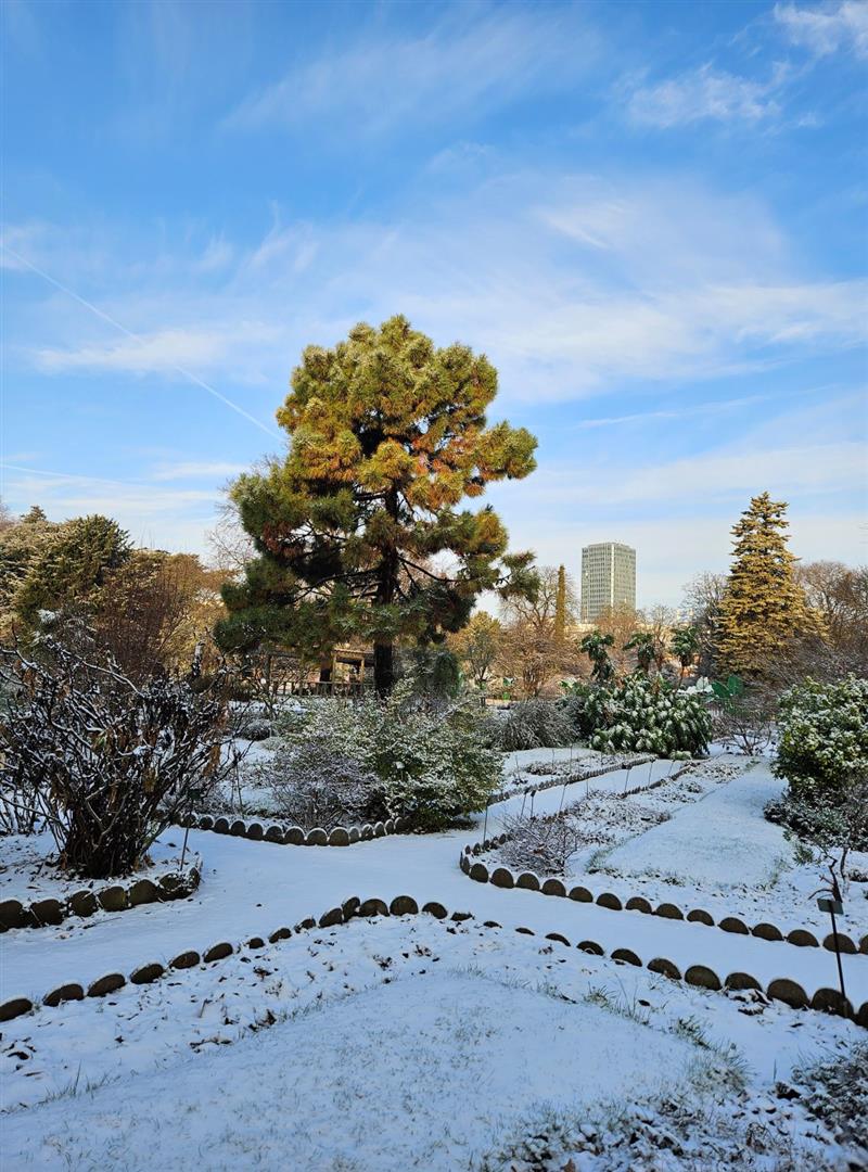 Jardin des Plantes