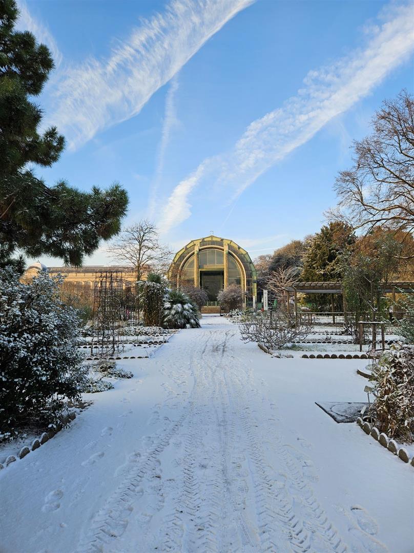 Jardin des Plantes