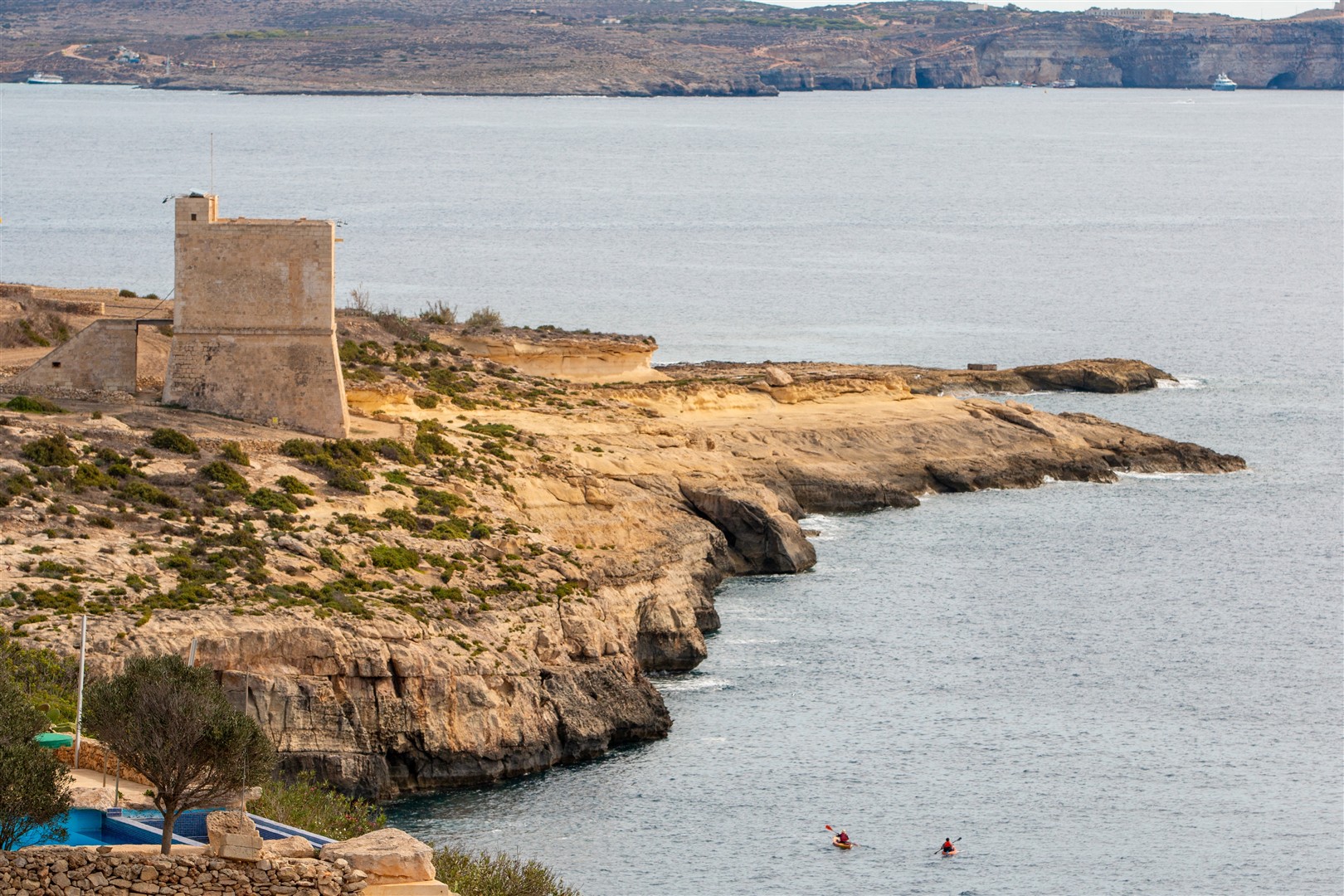 Shutter Stock