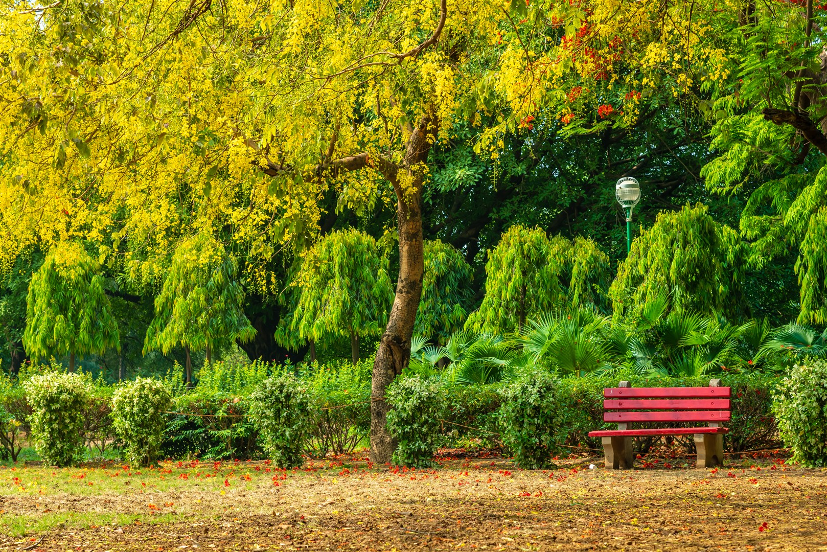 Shutter Stock