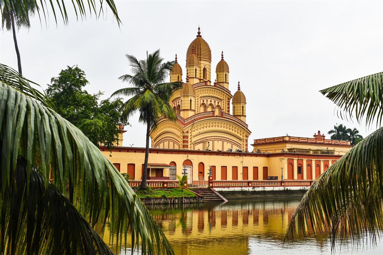 Shutter Stock