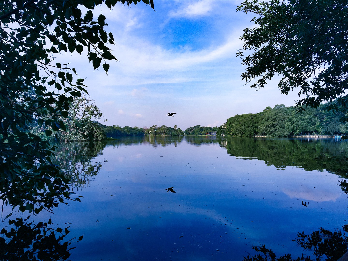Shutter Stock