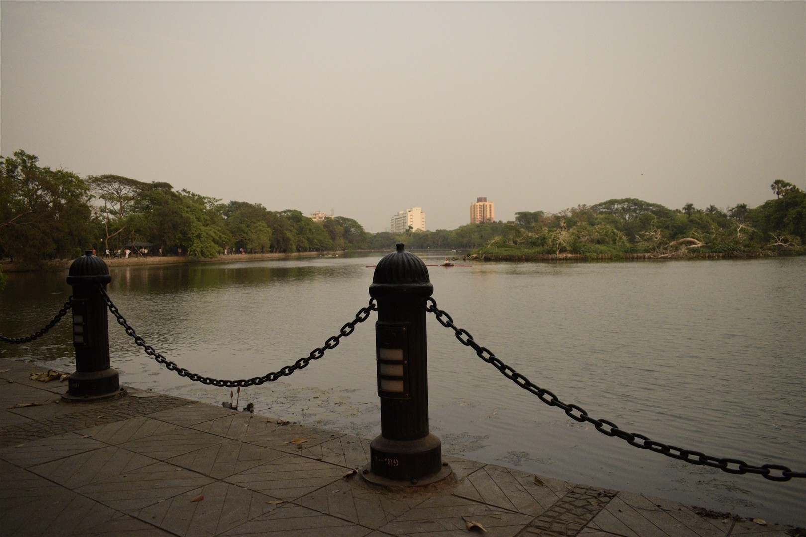 Shutter Stock