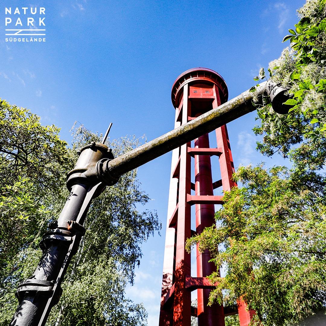 Natur Park Südgelände