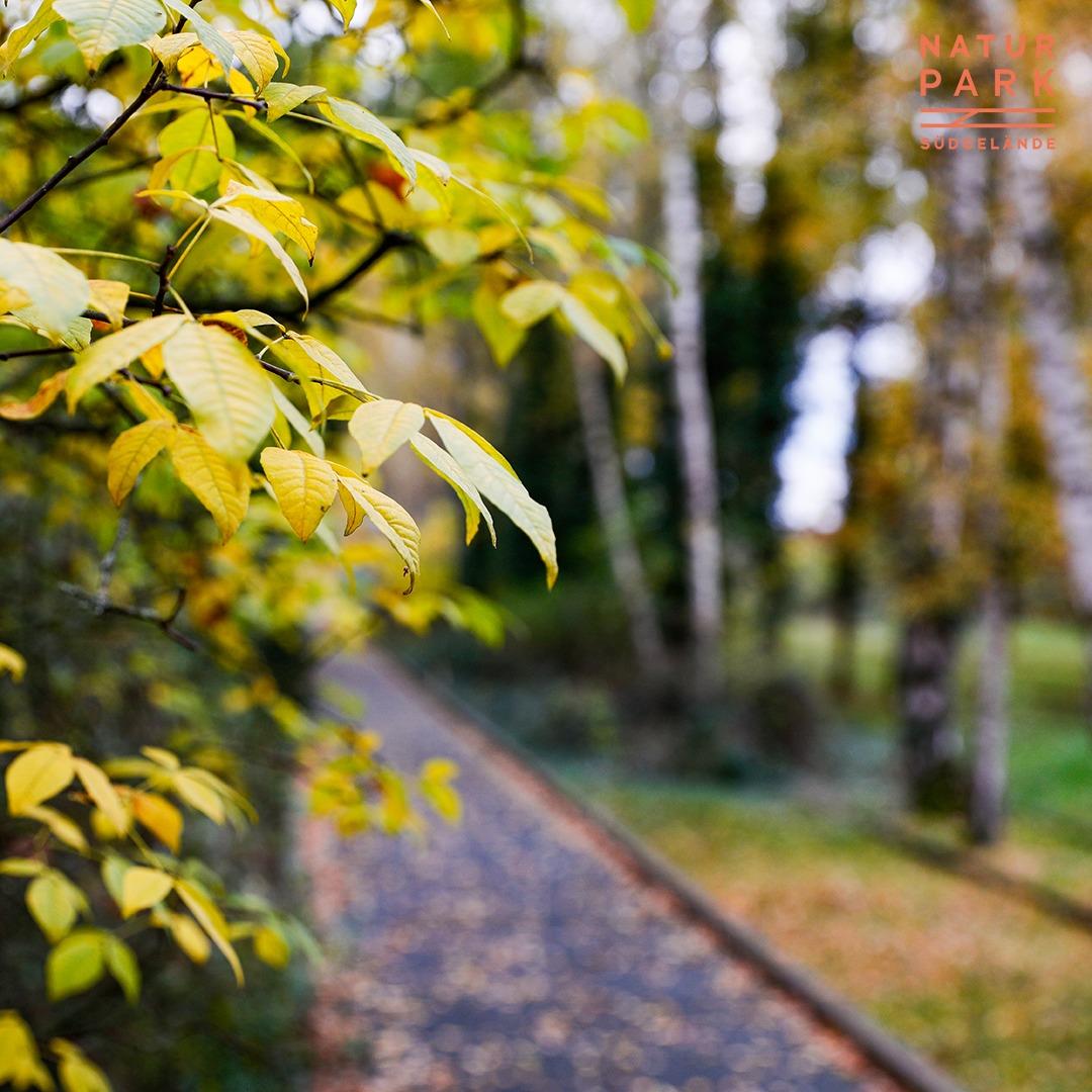 Natur Park Südgelände