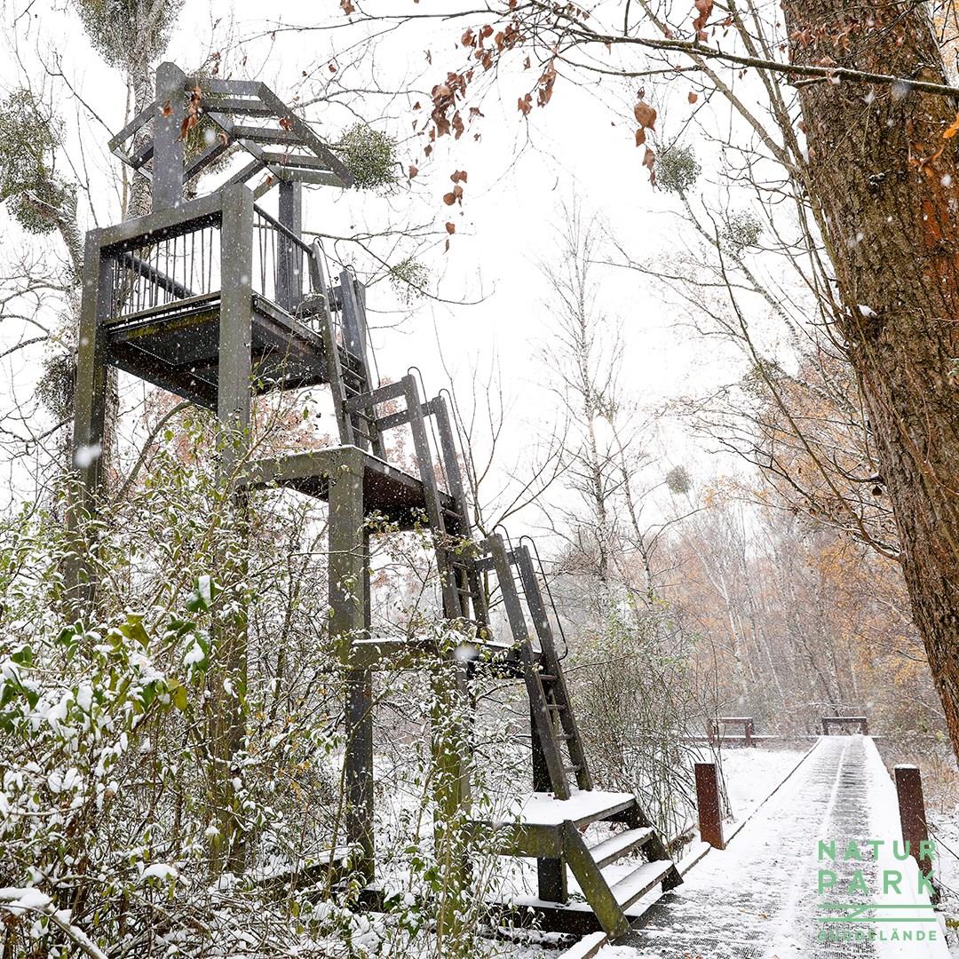 Natur Park Südgelände