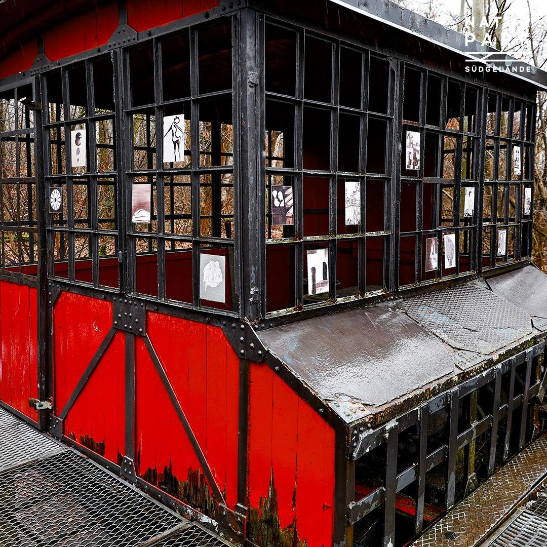 Natur Park Südgelände