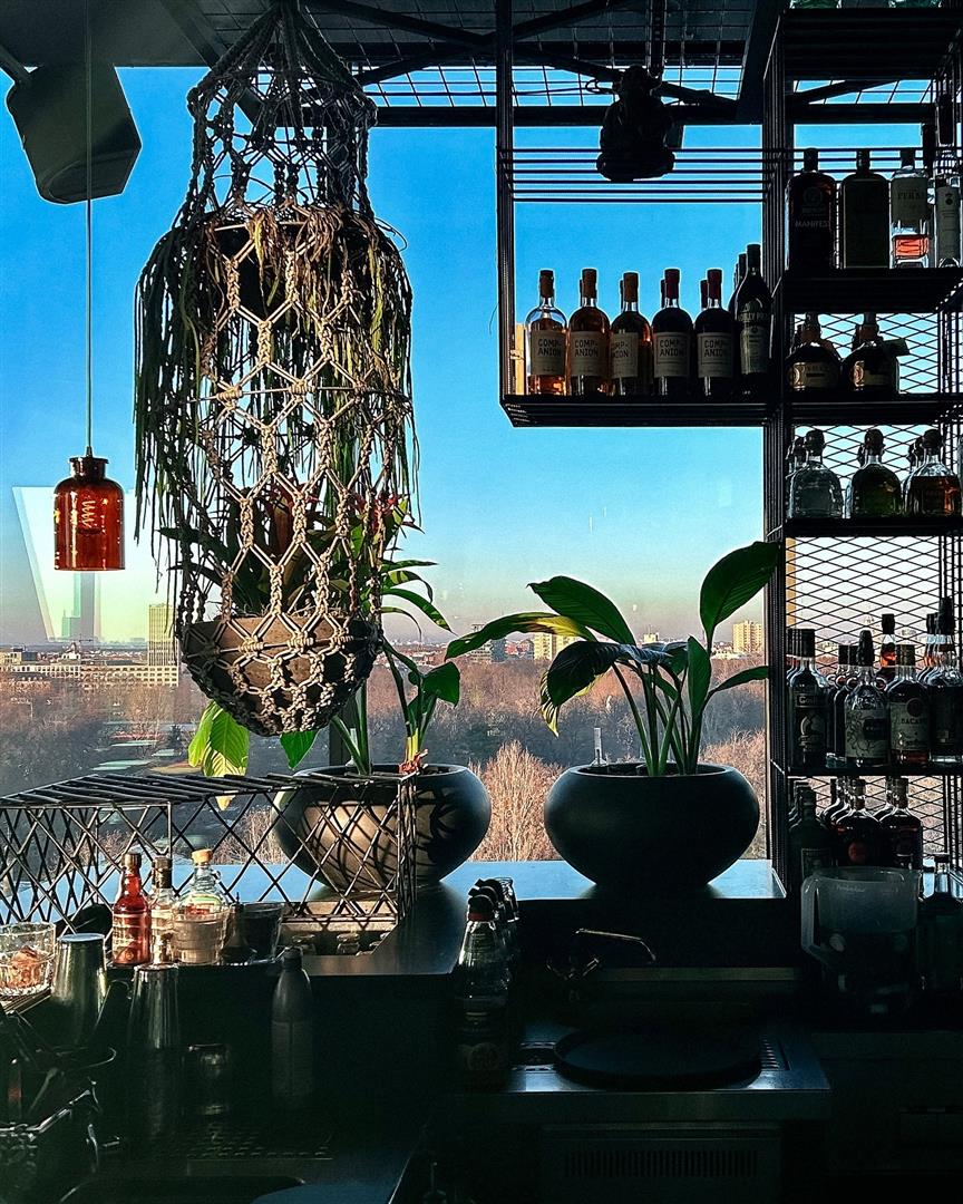 Monkey Bar
