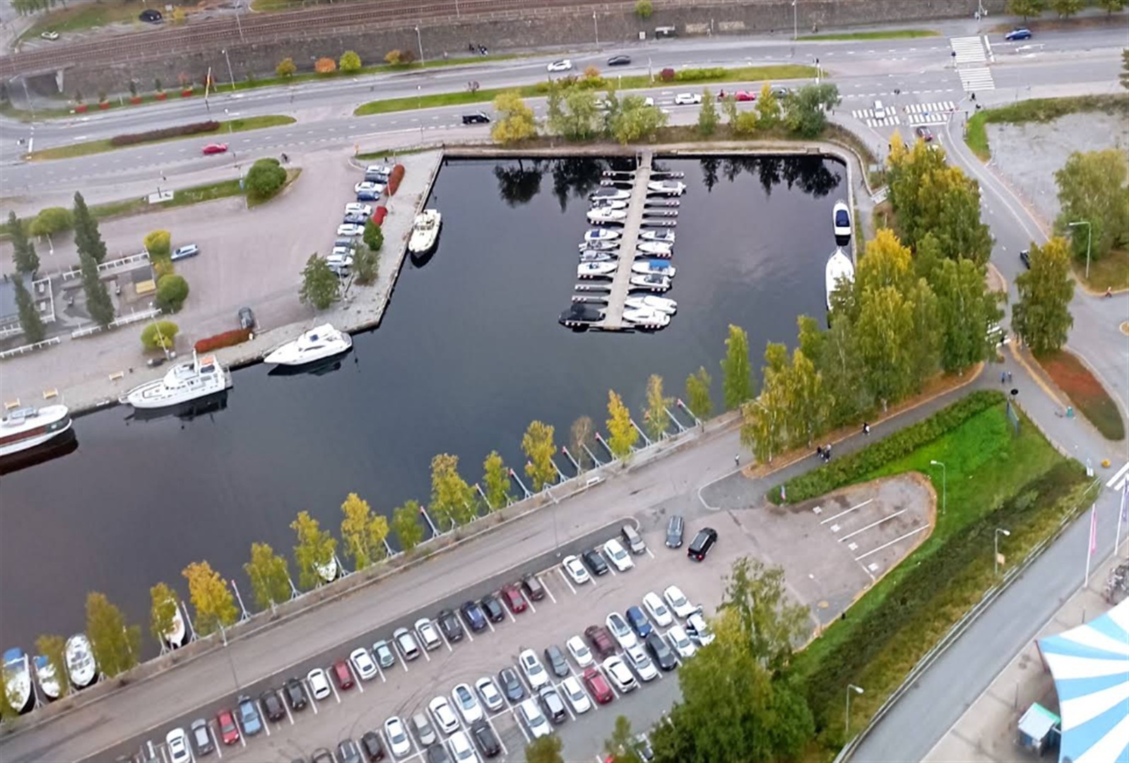 Näsinneula
