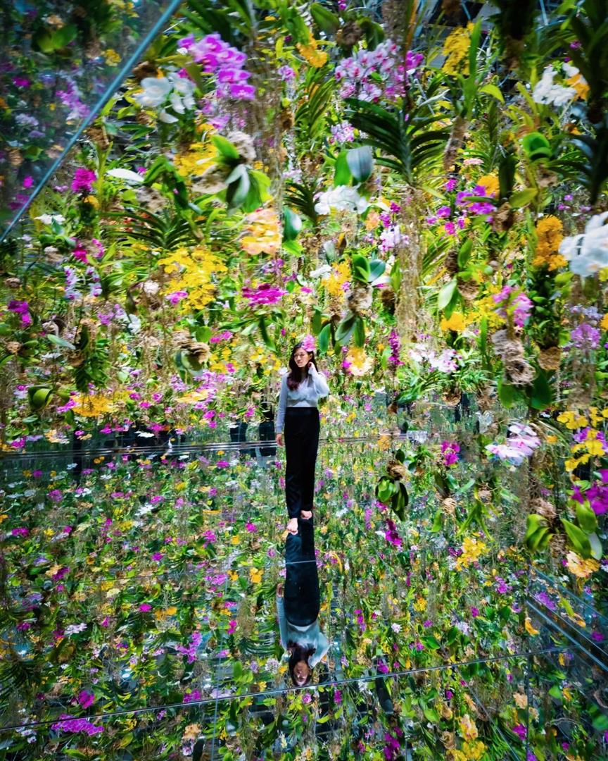 teamLab Planets