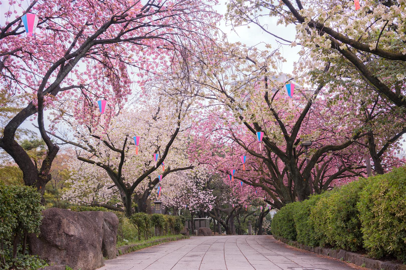 Shutter Stock