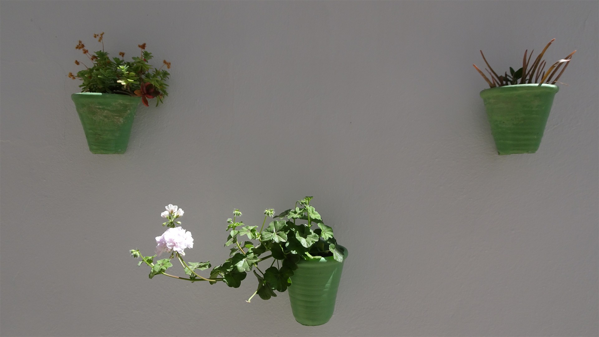 Shutter Stock