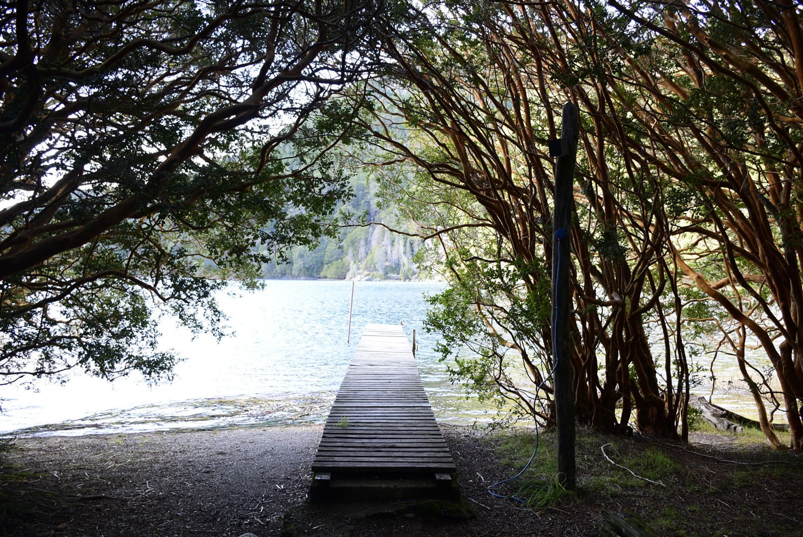 Shutter Stock