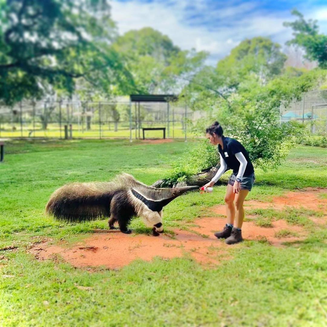 Zoo Miami