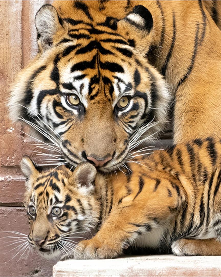 Zoo Miami