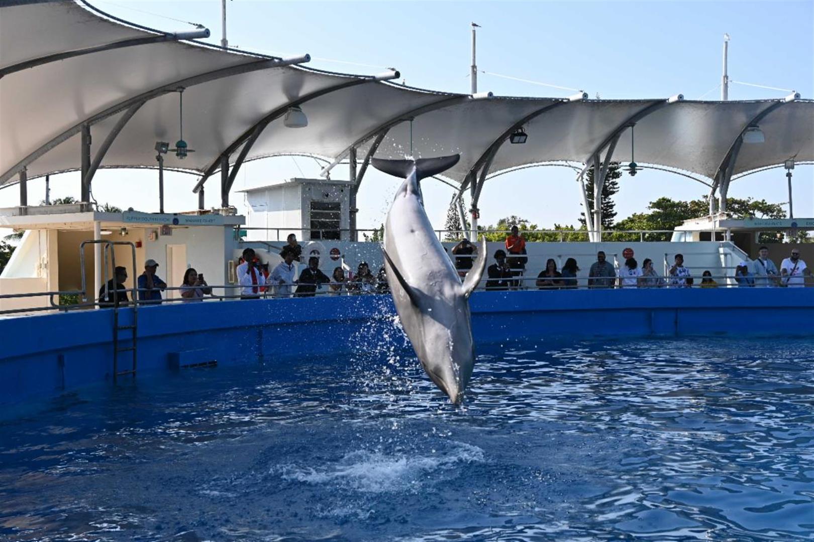 Miami Seaquarium