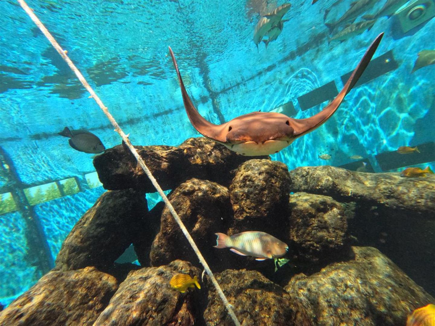 Miami Seaquarium