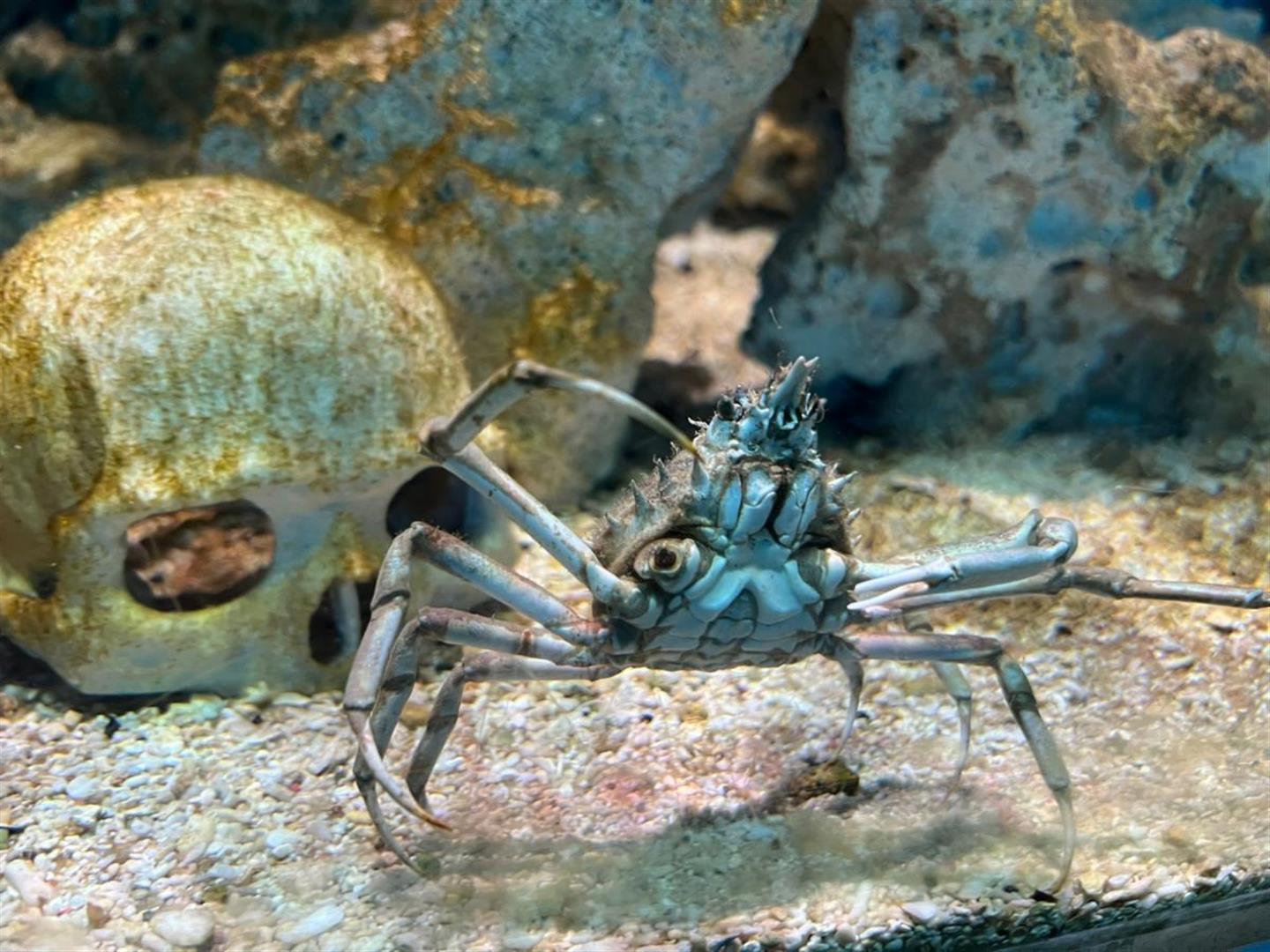 Miami Seaquarium