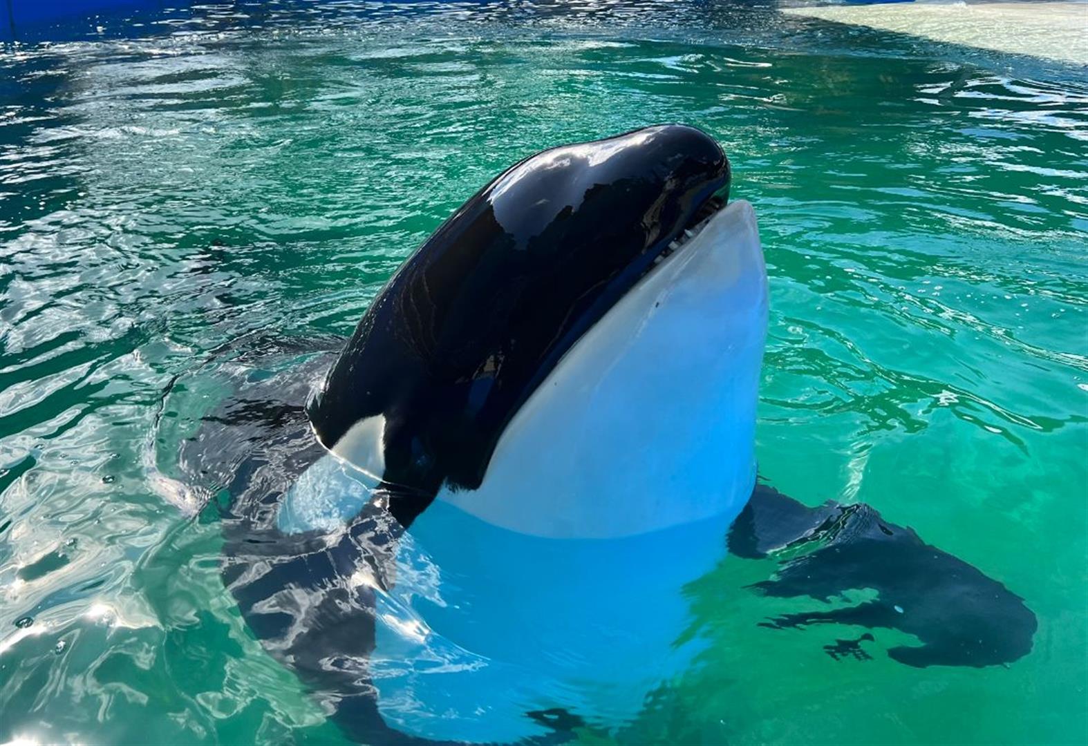 Miami Seaquarium