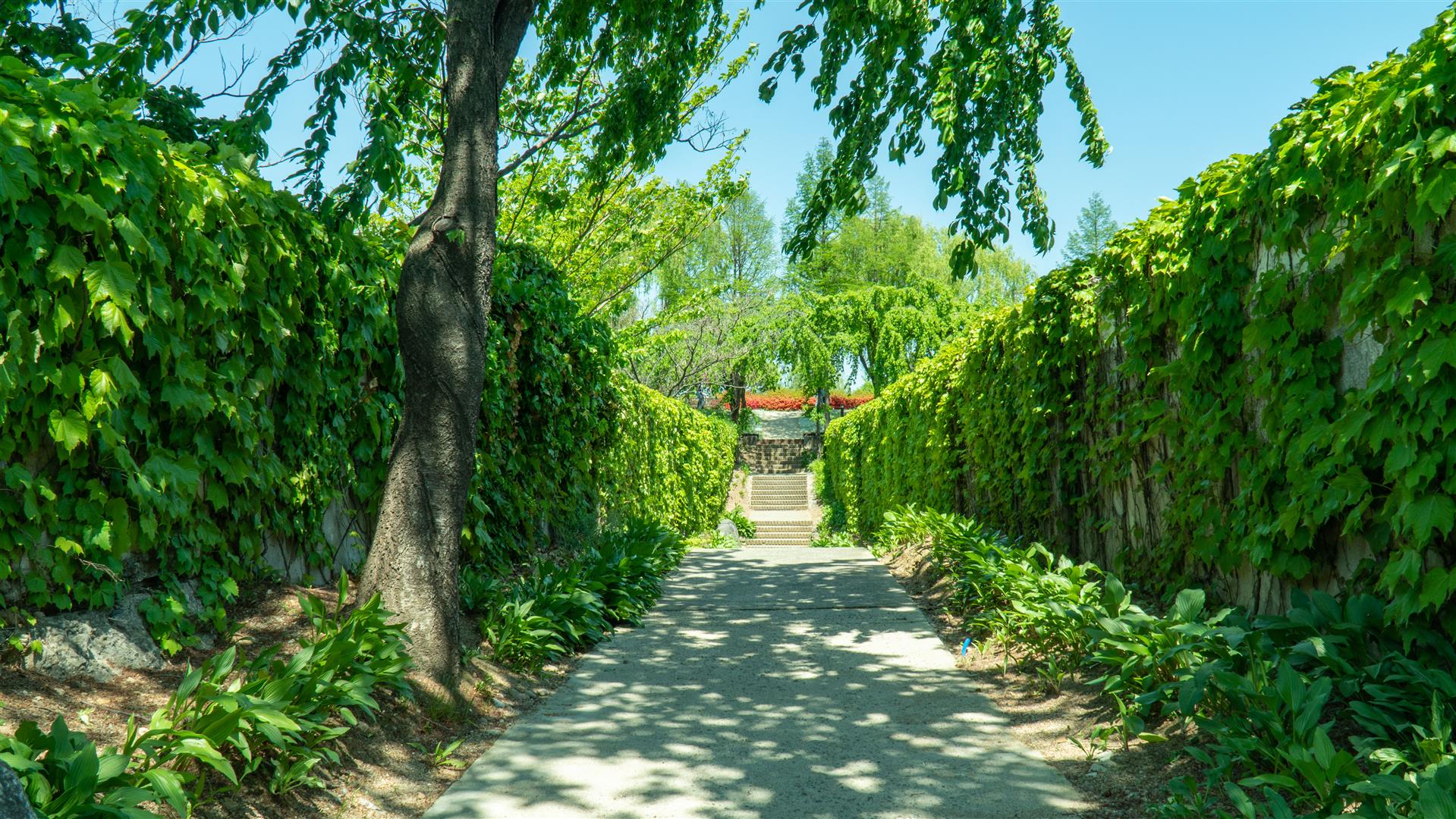 Shutter Stock