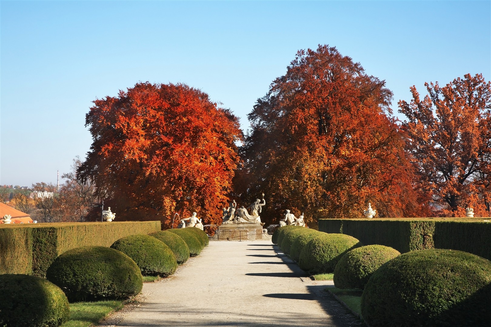 Shutter Stock