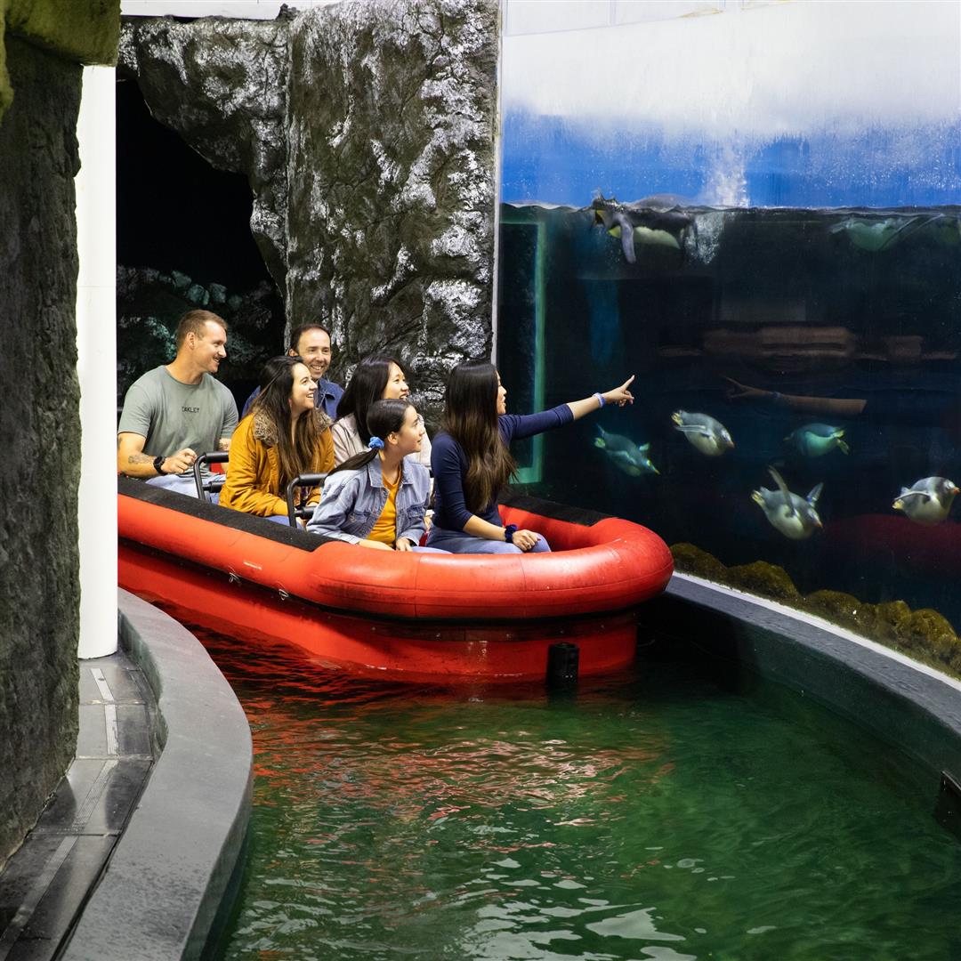 SEA LIFE Sydney Aquarium
