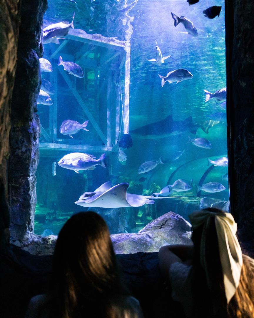 SEA LIFE Sydney Aquarium