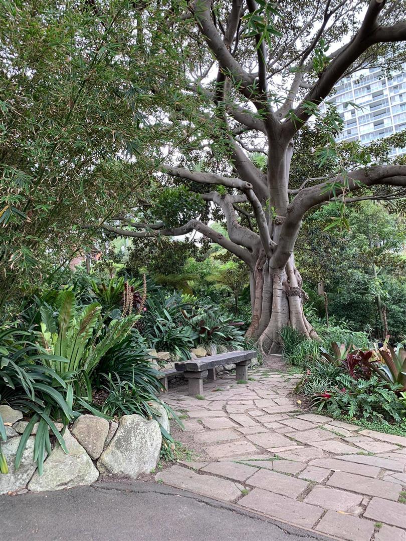 Wendy Whiteley's Secret Garden