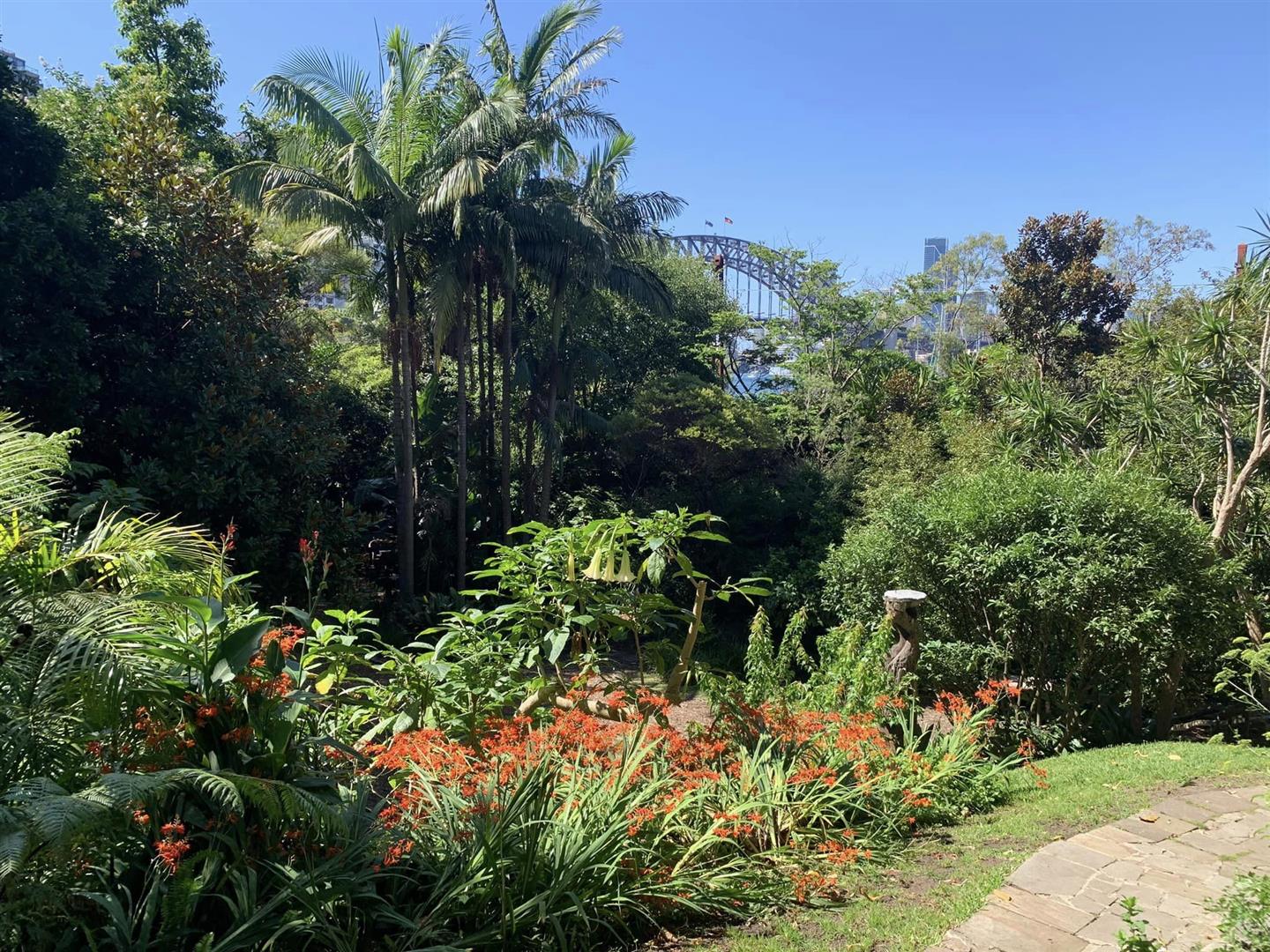 Wendy Whiteley's Secret Garden