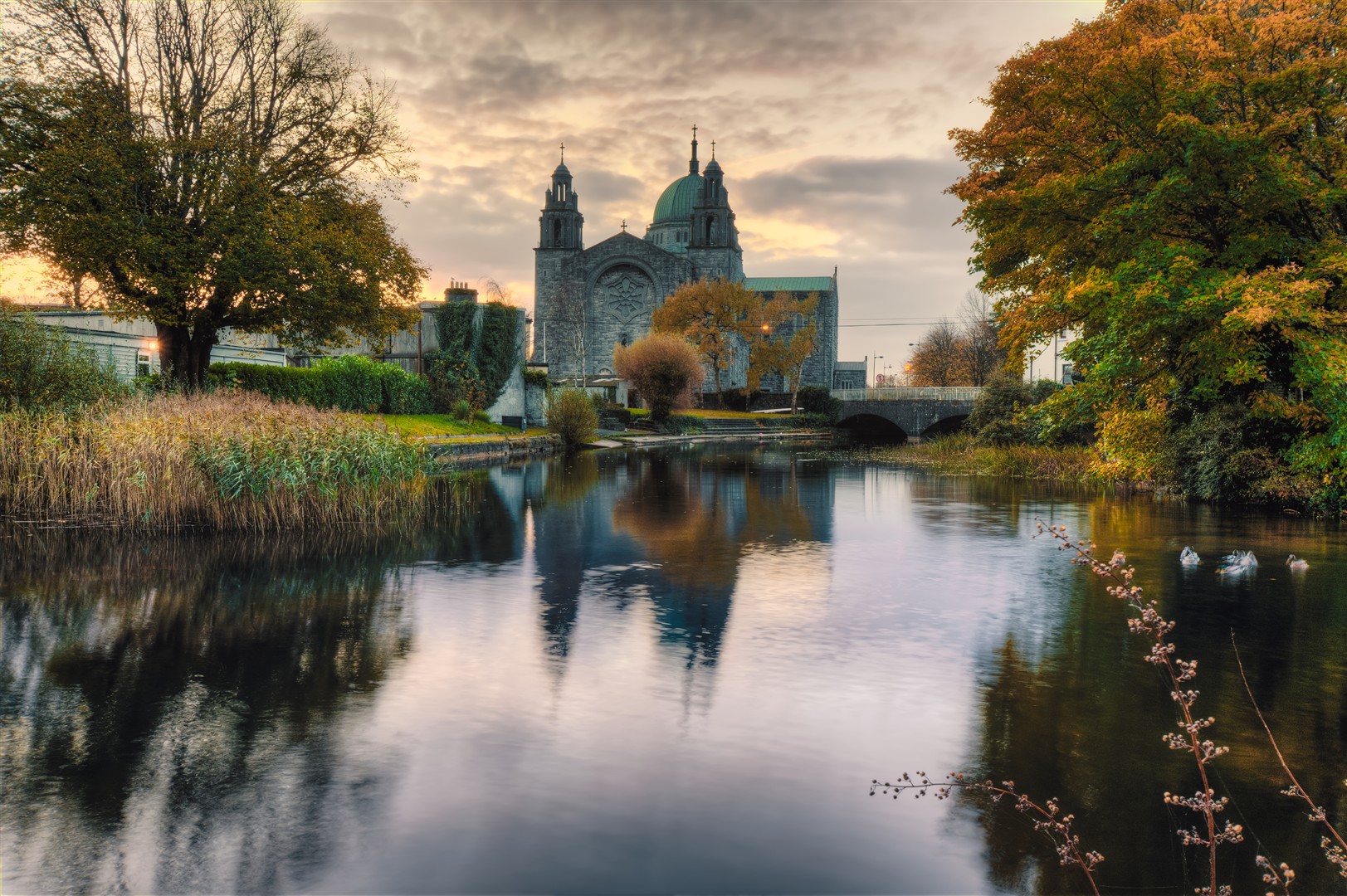 Shutter Stock