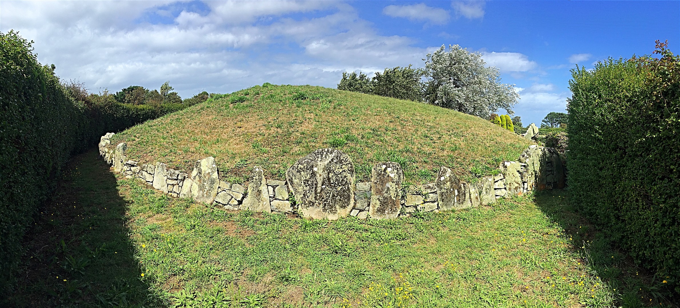 Guernsey