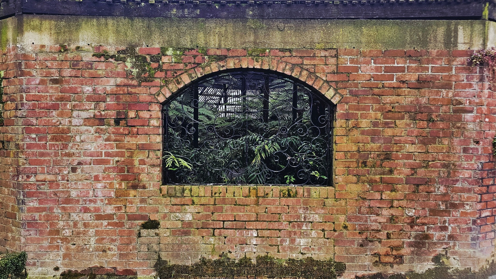 Shutter Stock