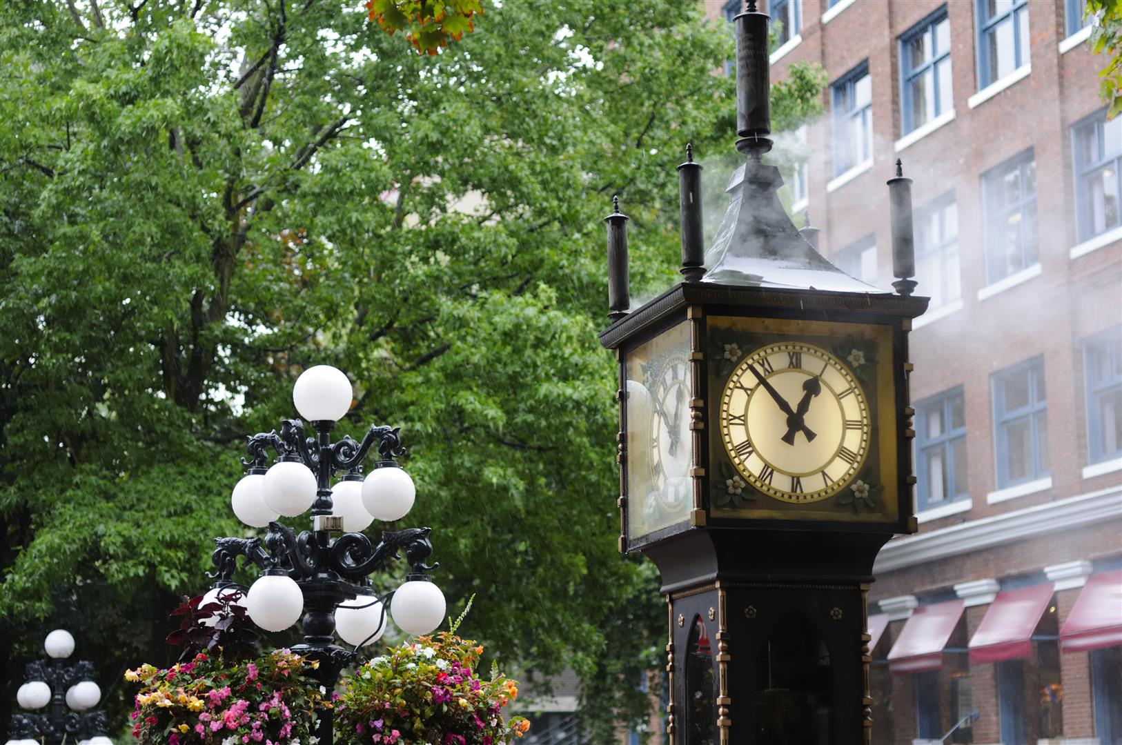 Shutter Stock